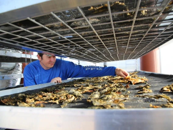 a person reaches into closely stacked racks holding solar-dried food