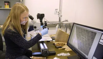 Female Researcher reviewing Tree Ring samples in the Tree Ring lab on the computer at the University of arizona